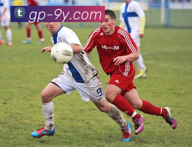 九游官网发展历程